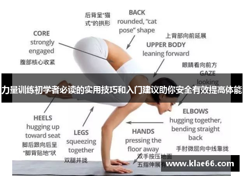 力量训练初学者必读的实用技巧和入门建议助你安全有效提高体能