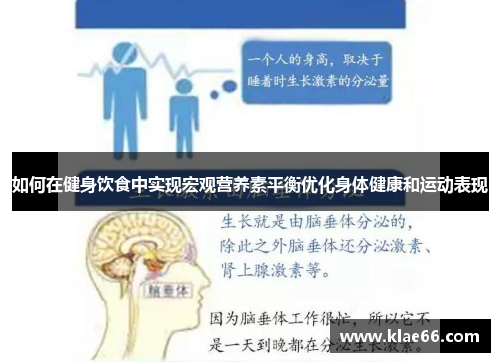 如何在健身饮食中实现宏观营养素平衡优化身体健康和运动表现